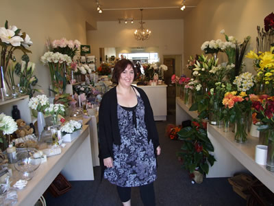Amaryllis store Amaryllis store