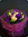 Lavender delight